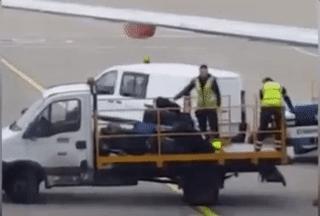 日本人日常生活服务,日本人的服务与礼仪