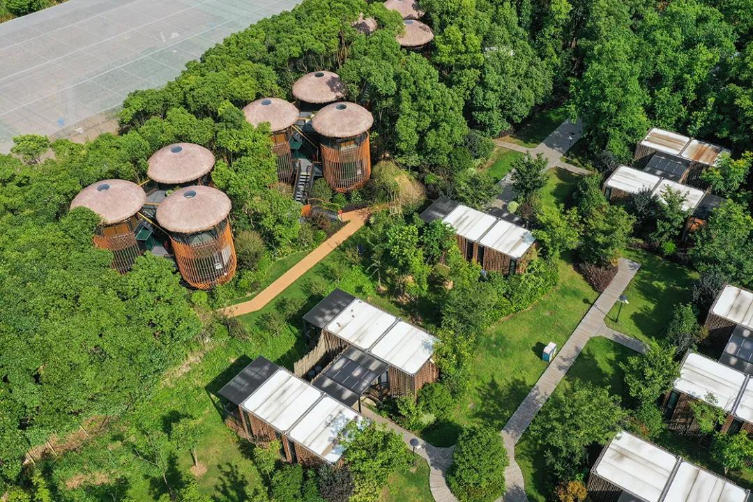 吸睛“鸟巢”上线！感受童话田园生活，来度假区这家露营地就对啦