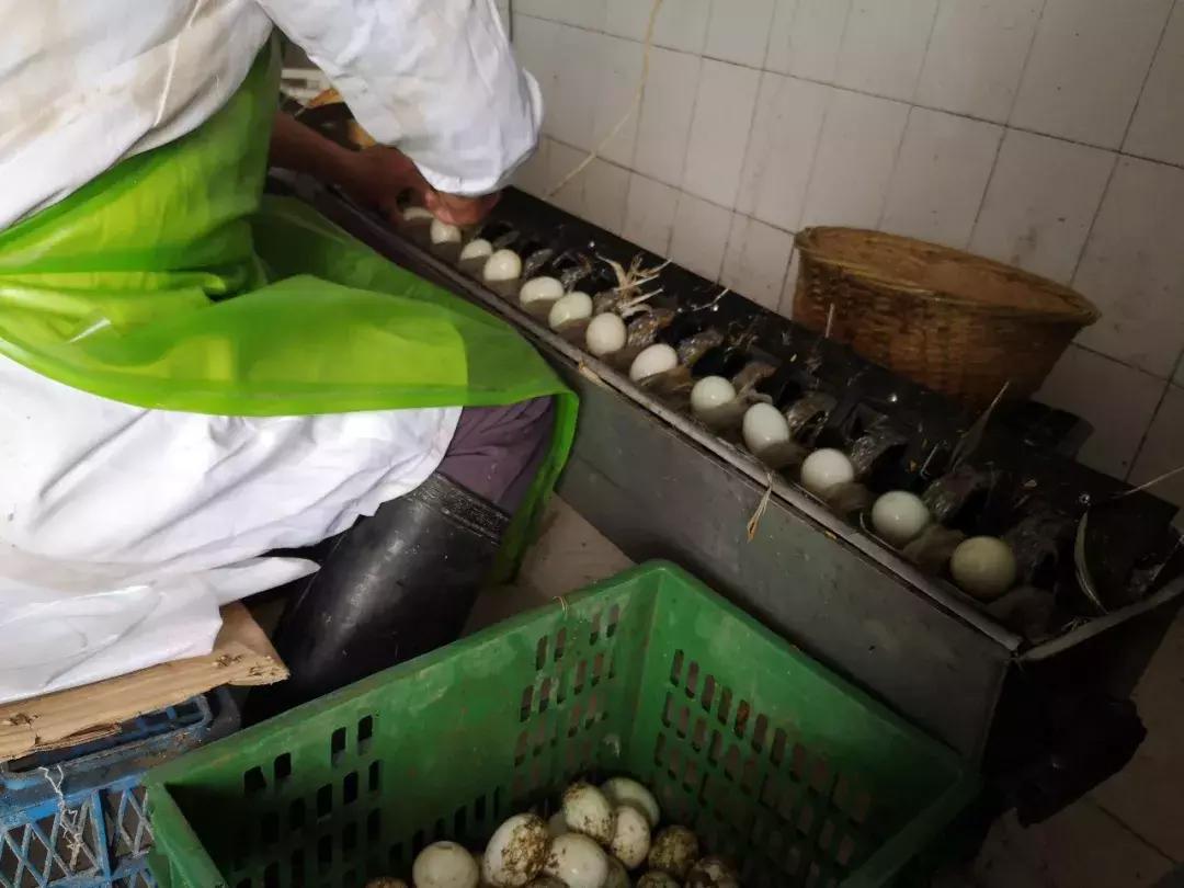 传承了280多年!这道来自嘉兴平湖的奇特美食,你吃过吗?