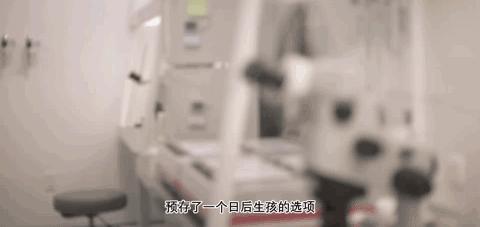 单身女性冻卵是否应被禁止,单身女性冻卵有必要吗