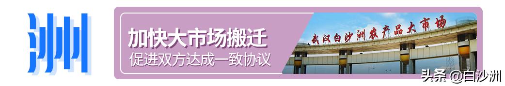 白沙洲丽水路未来规划,白沙洲大道以西规划