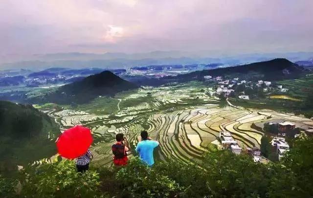 彩票公益金宣传办法,中央专项彩票公益金网址