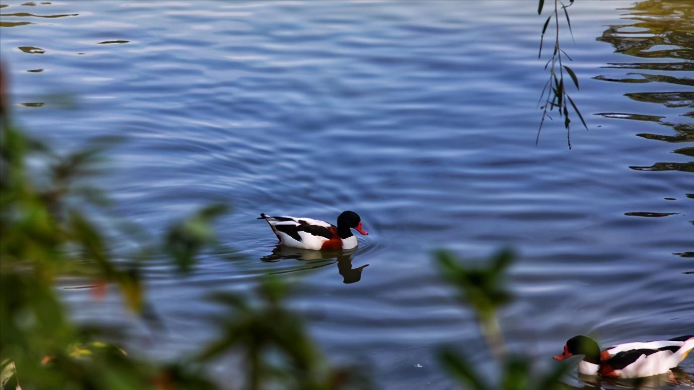 江苏扬州全面介绍,江苏省扬州市有什么区