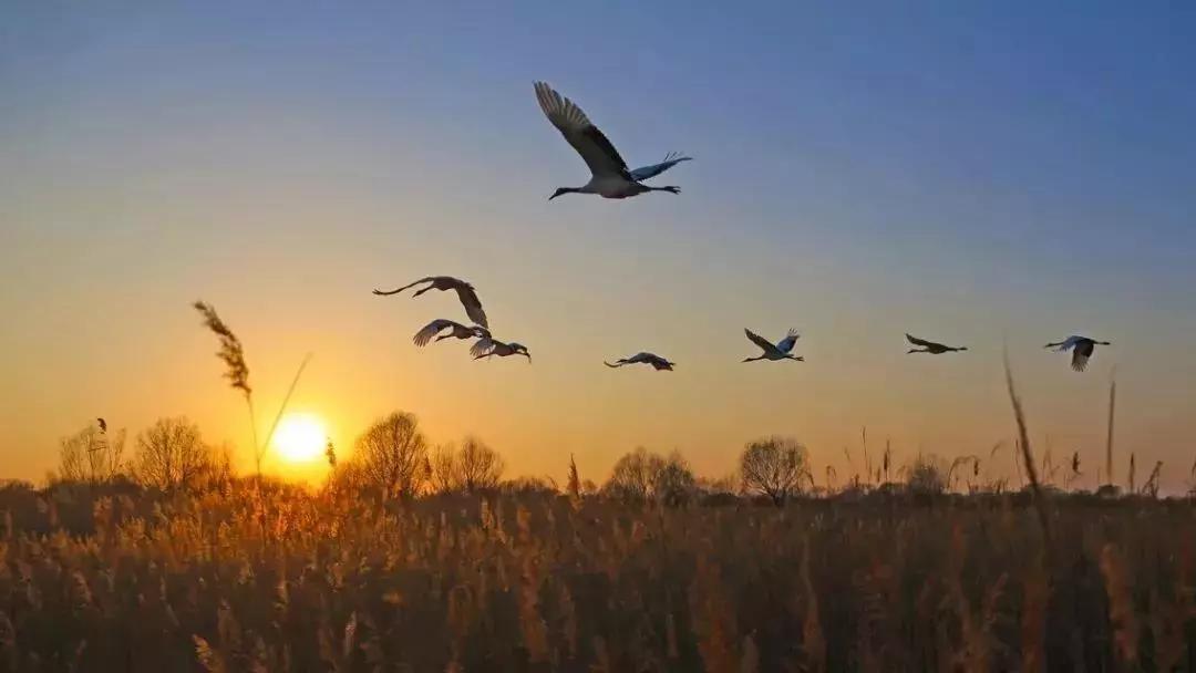 山东风景图,齐风鲁韵山东风景图片