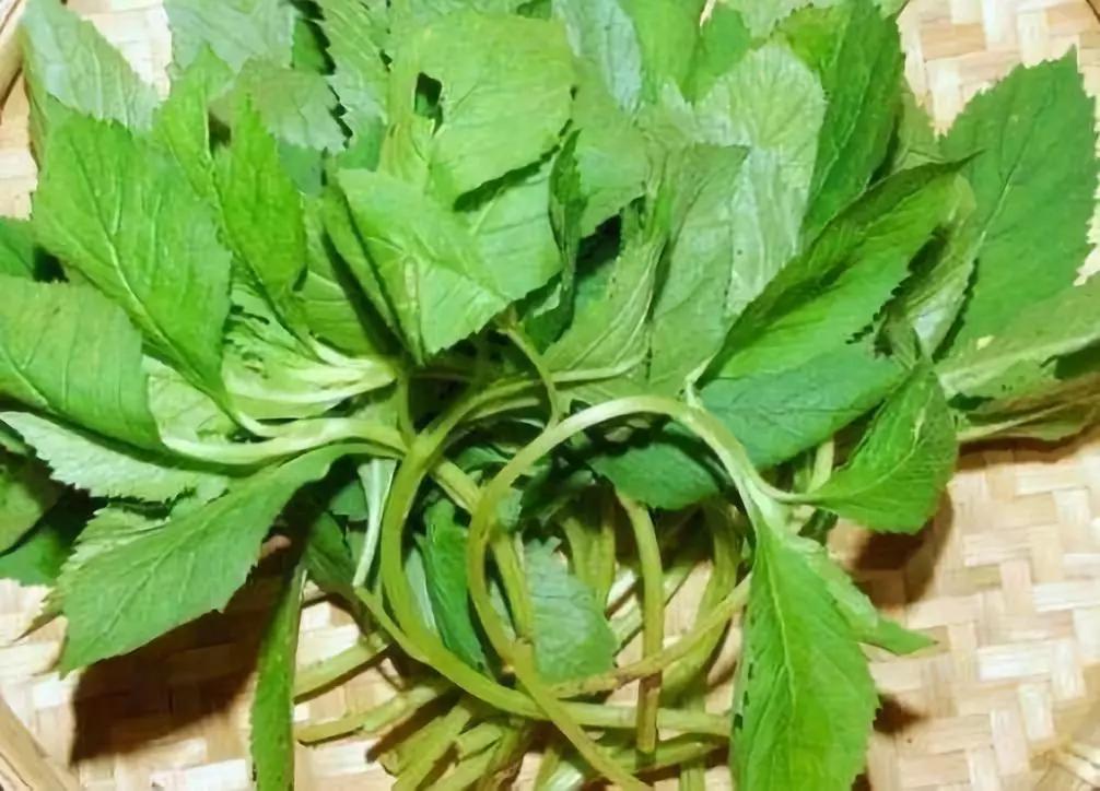 天津人最爱吃的美食,天津怀旧妈妈菜