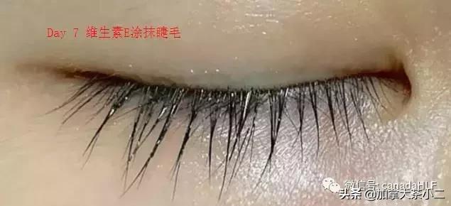 costco必买保健品价格分别是多少,不吹不黑分享真实感受