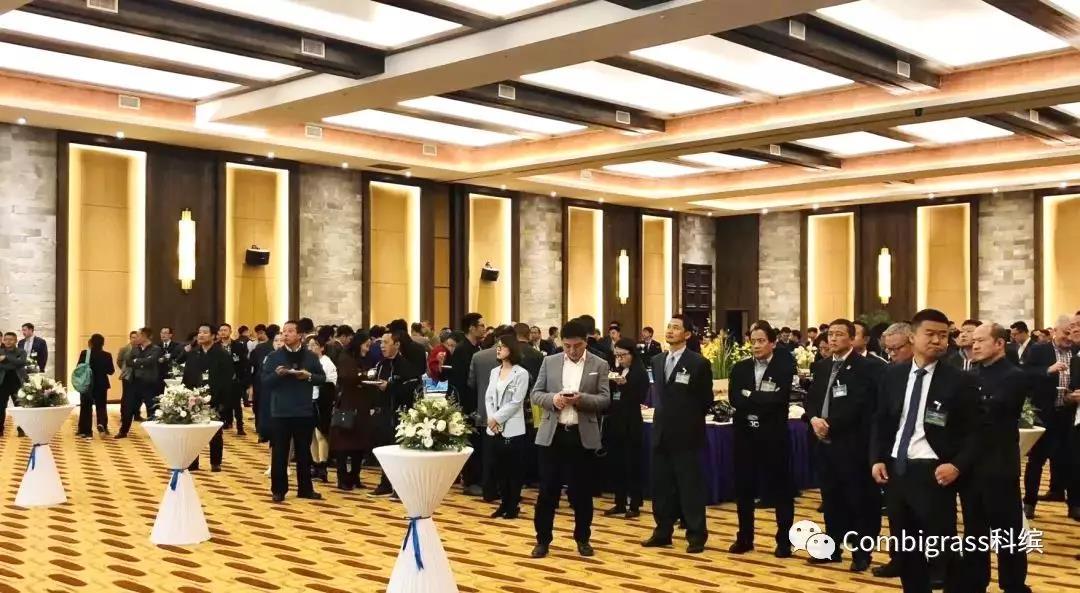 中国足协专业足球场,2022中国足协举办比赛场地