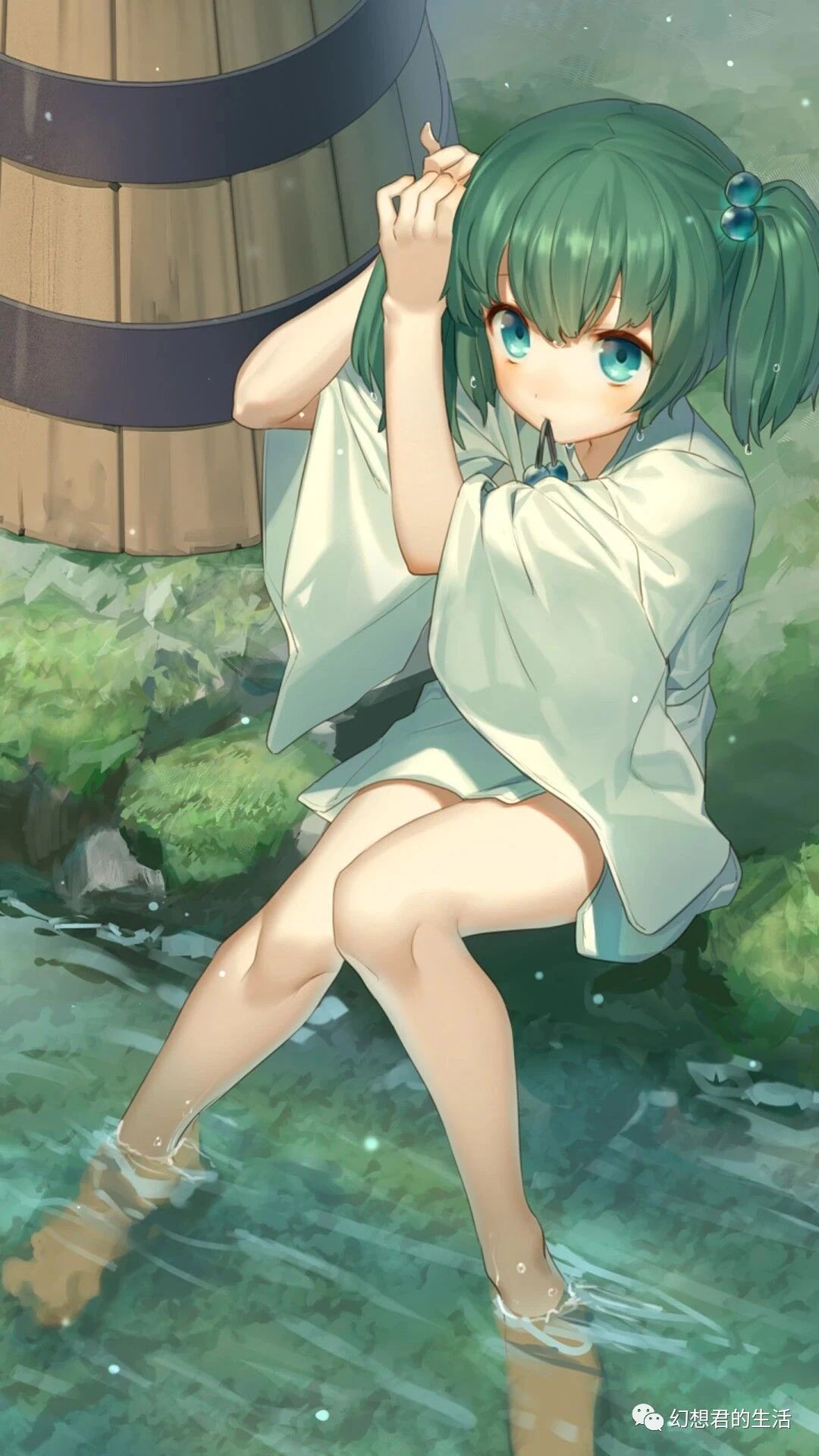 小米手机壁纸上面怎么弄字,小米手机主题壁纸植物大战僵尸