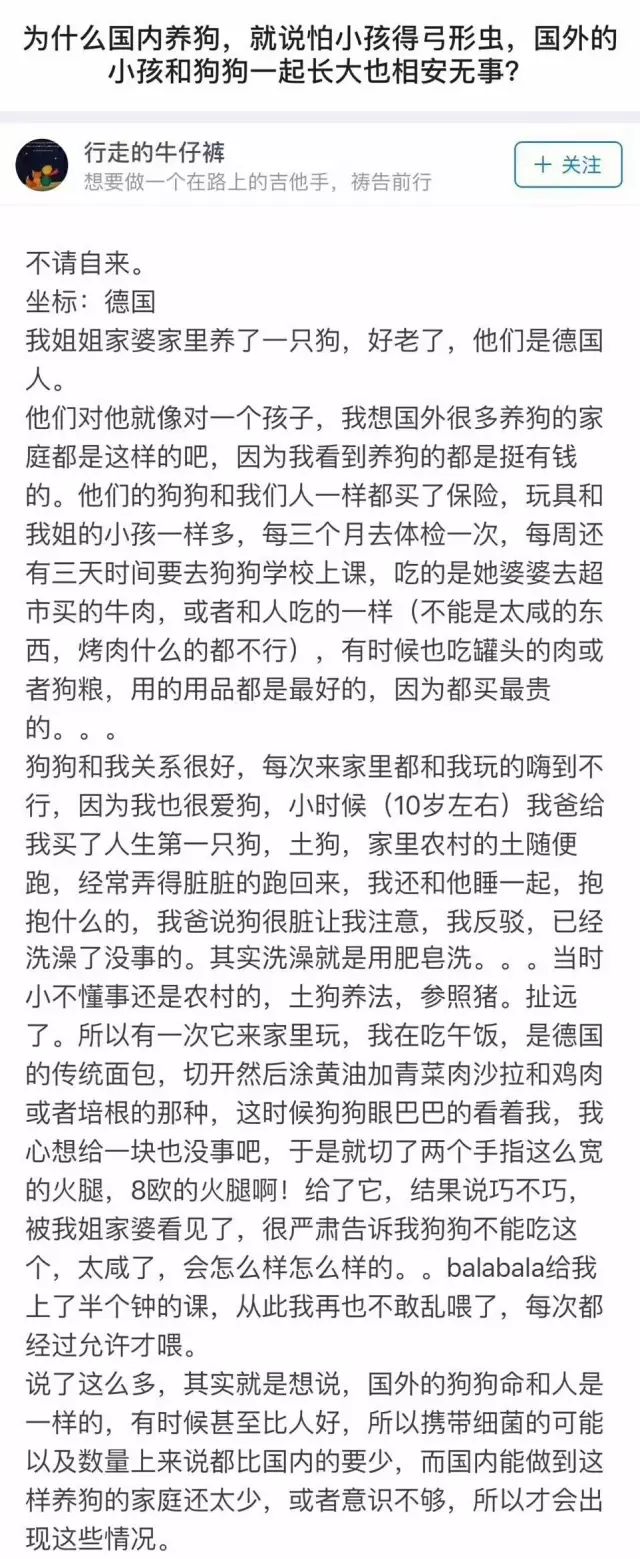 怀孕养狗会生出怪物吗,养狗狗会不会影响怀孕