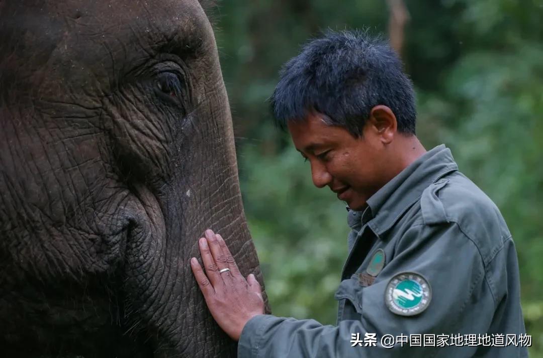 中国五大国家公园,中国十大私藏国家公园