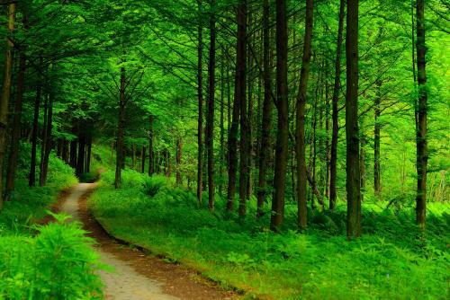 拍案惊奇背后的黑手,初刻拍案惊奇案值得看吗