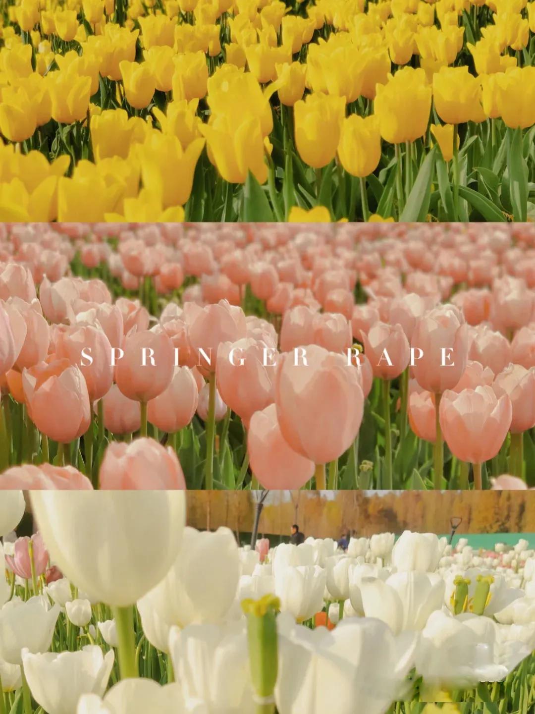 昆明亲子游自驾游攻略推荐路线,昆明周末亲子游十大好去处