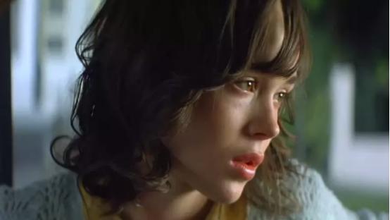 美国十大犯罪记录,美国田纳西州暴力事件