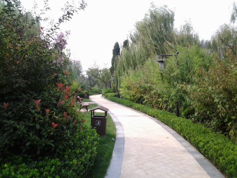 畅游公园视频,游清音公园