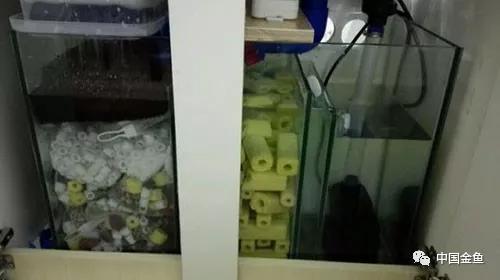 我向媳妇保证，最后一个缸