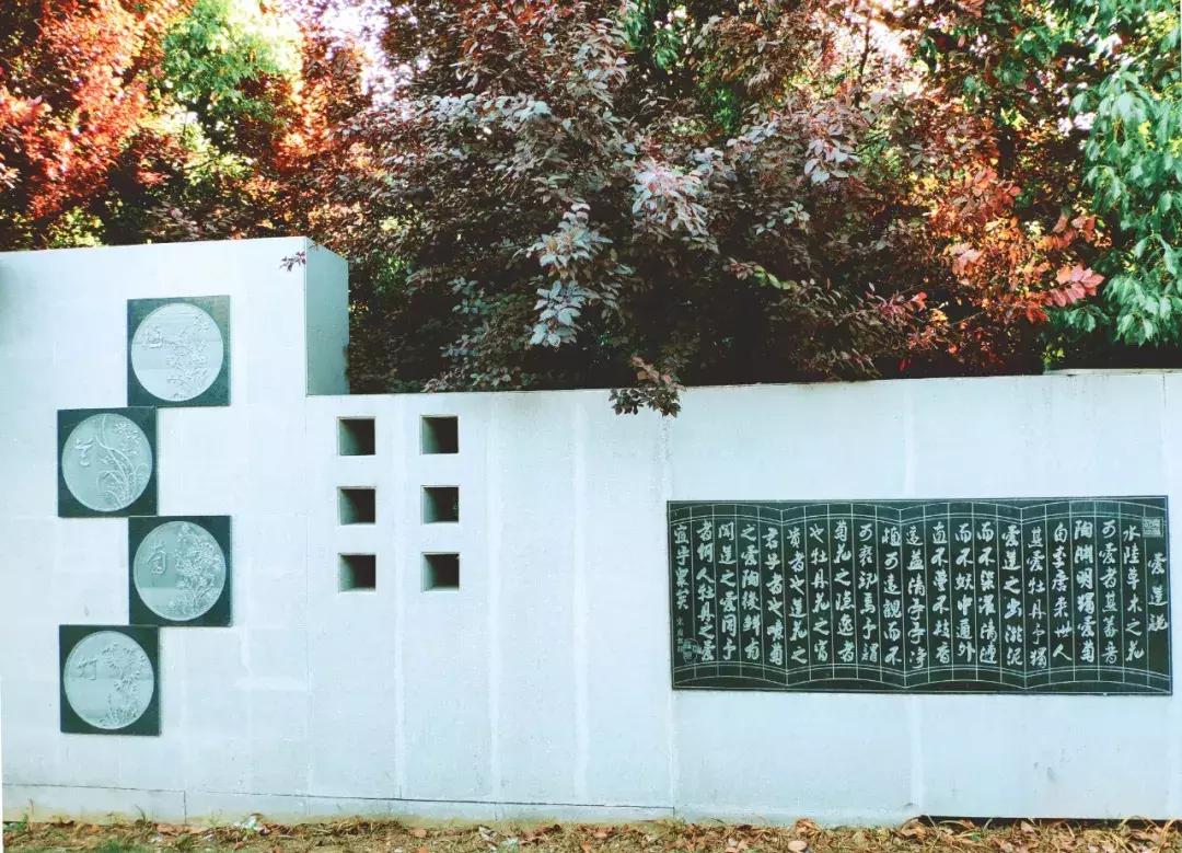 合肥蜀南庭苑新闻,合肥蜀南庭苑是拆迁小区吗