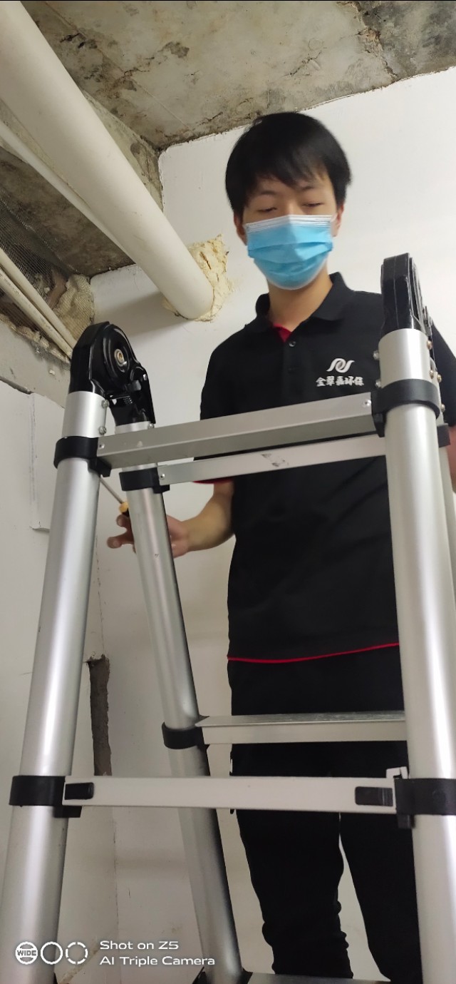 仁和区专业灭鼠灭白蚁除蟑螂公司,惠州上门灭白蚁公司厂家