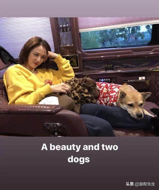 陈乔恩大撒狗粮,陈乔恩和老公在机场狂撒狗粮