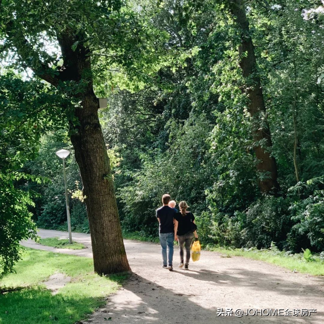 去了荷兰，168的我感觉自己像个霍比特人