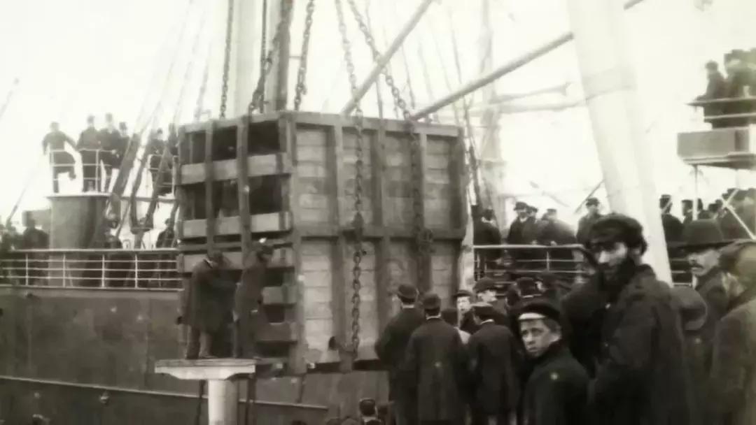 小飞象真实事迹,小飞象哭了全过程