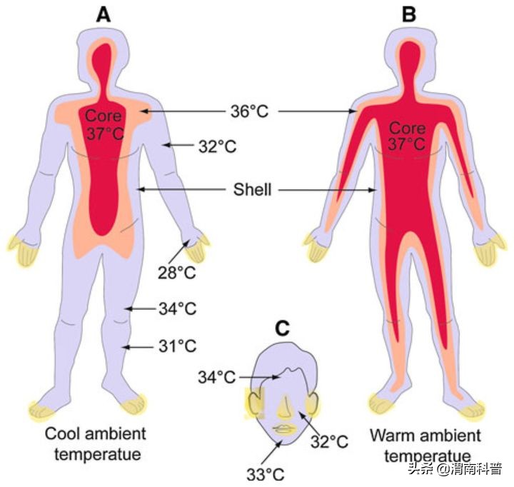 科技之春健康科普,科技之春科普文章