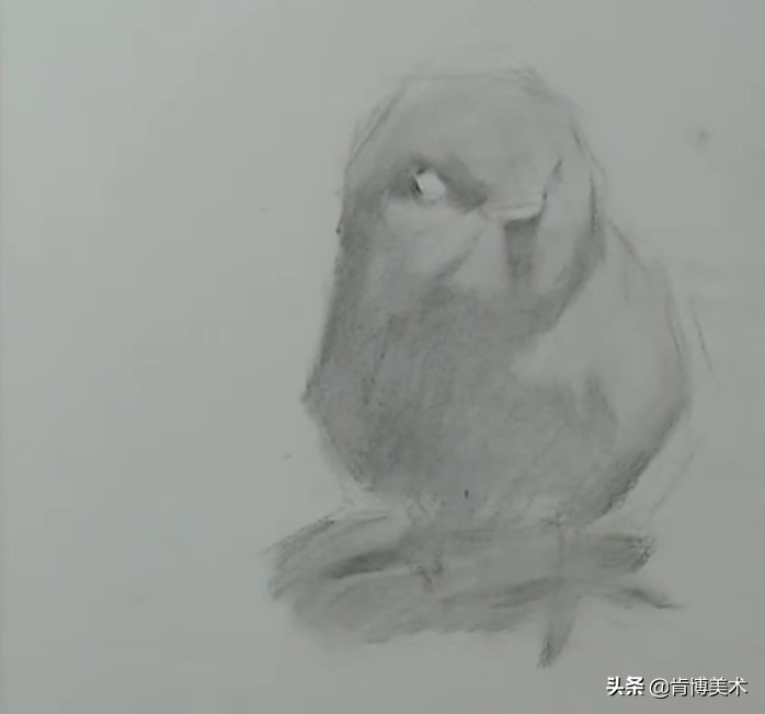 怎样画素描小鸡顶蛋壳,小鸡素描怎么画