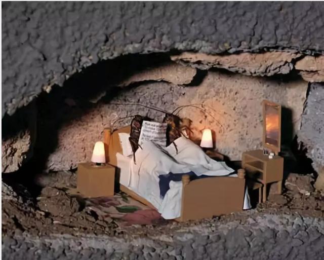 盘点全球十大奇葩广告,日本脑洞大开的奇葩创意广告