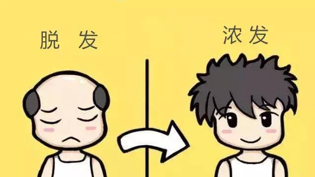 你的脱发到几级了,你的脱发还有得救吗