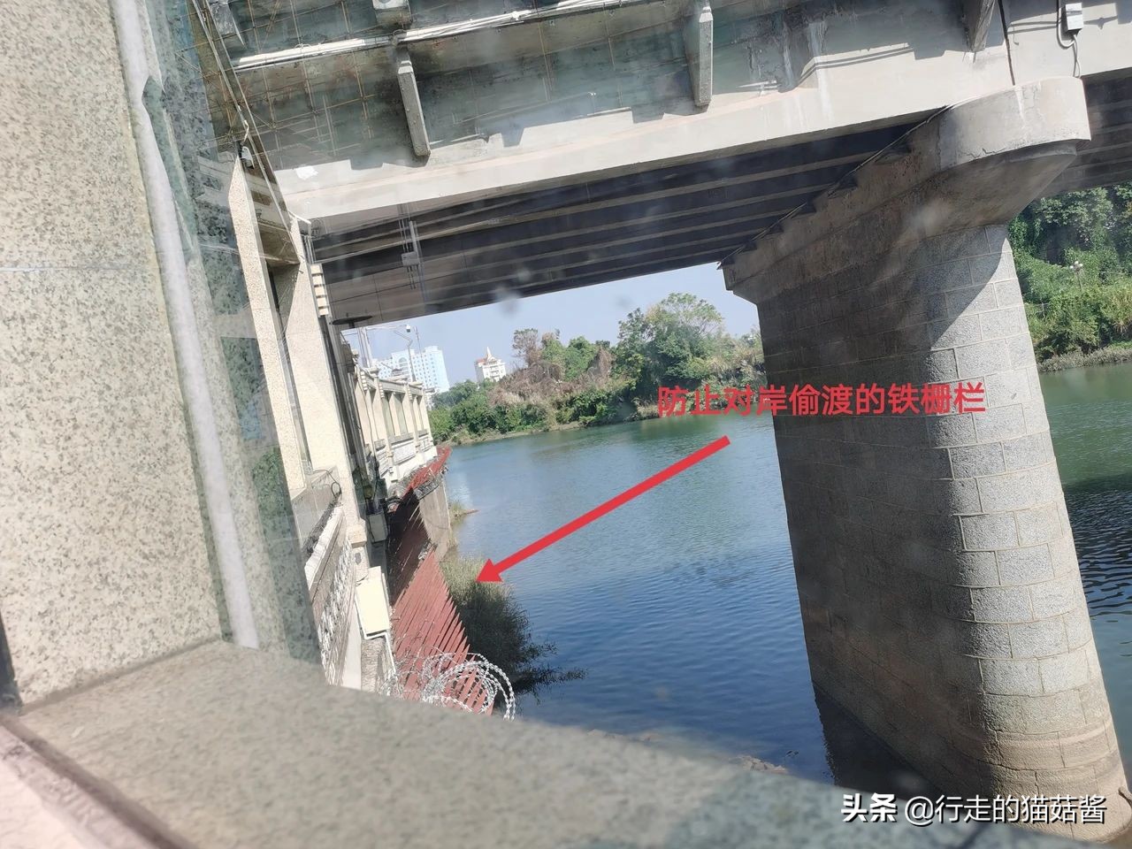 广西的中越边境城市,广西怎么有这么多越南美食