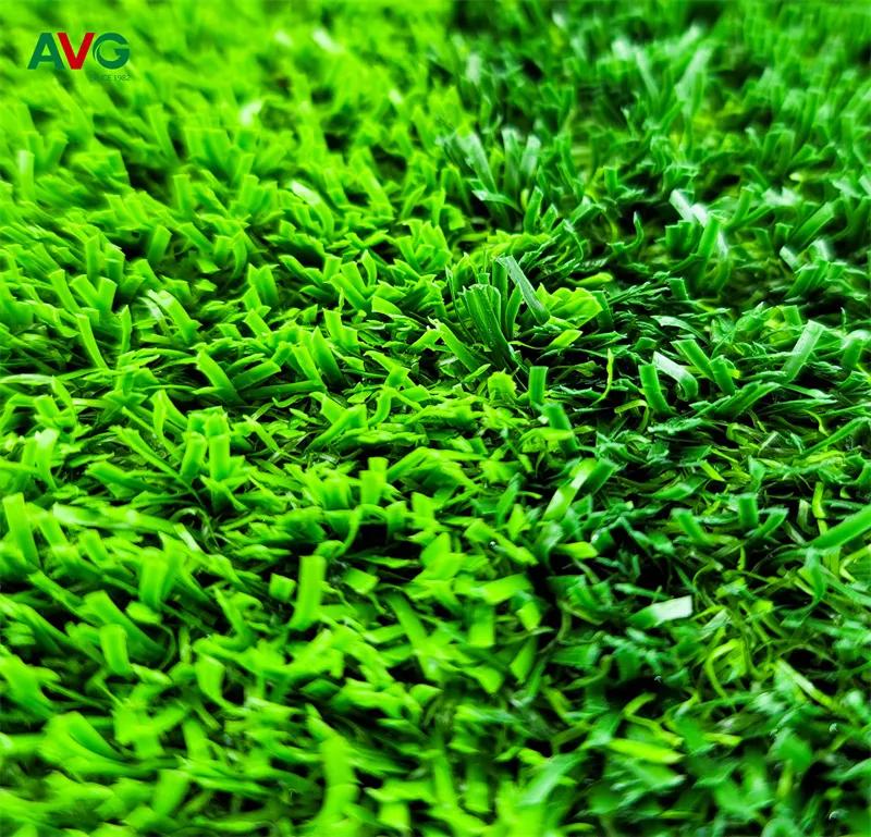 五星小学教学质量,五星小学