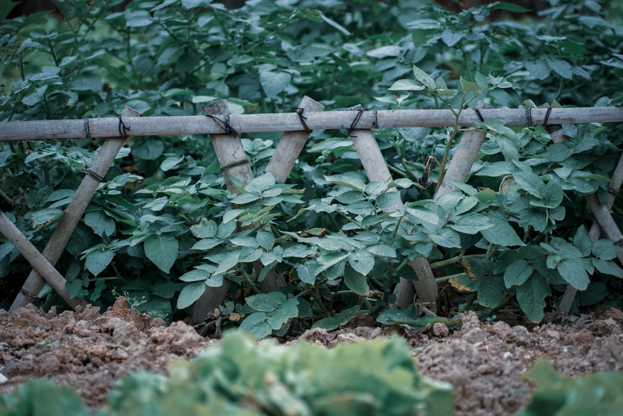 郴州仰天湖民宿多少钱一晚,郴州民宿一晚多少钱