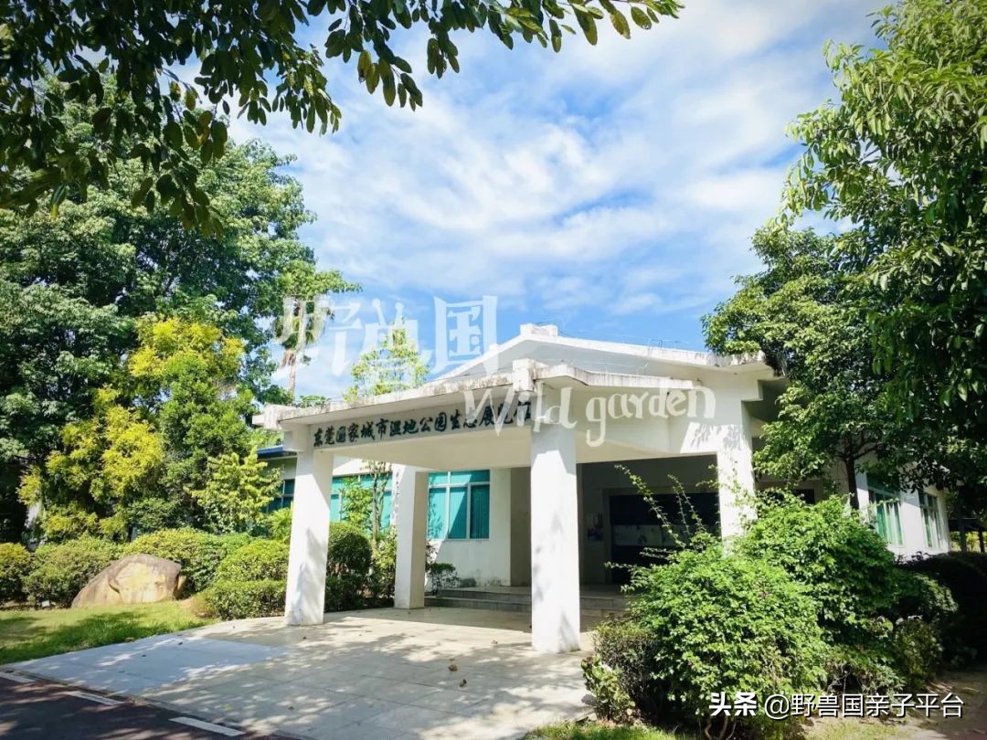 松山湖风景区松湖烟雨是哪个门,松山湖景区松湖烟雨有哪些好玩的