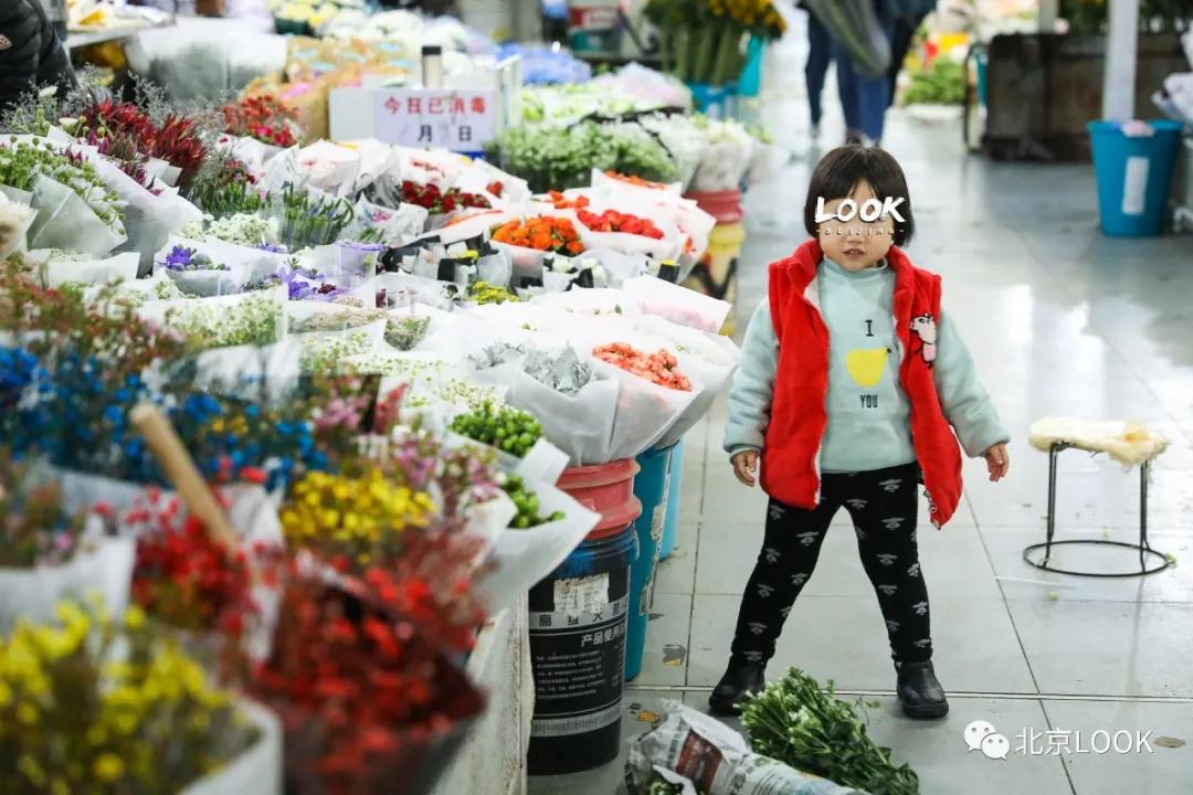 北京最大花市在哪,北京比较知名的花市有哪些