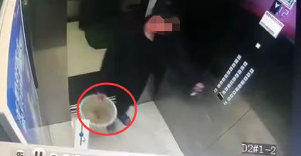 怒！长春这个小区疑似有人杀猫，尸体被丢垃圾桶！提醒猫主注意