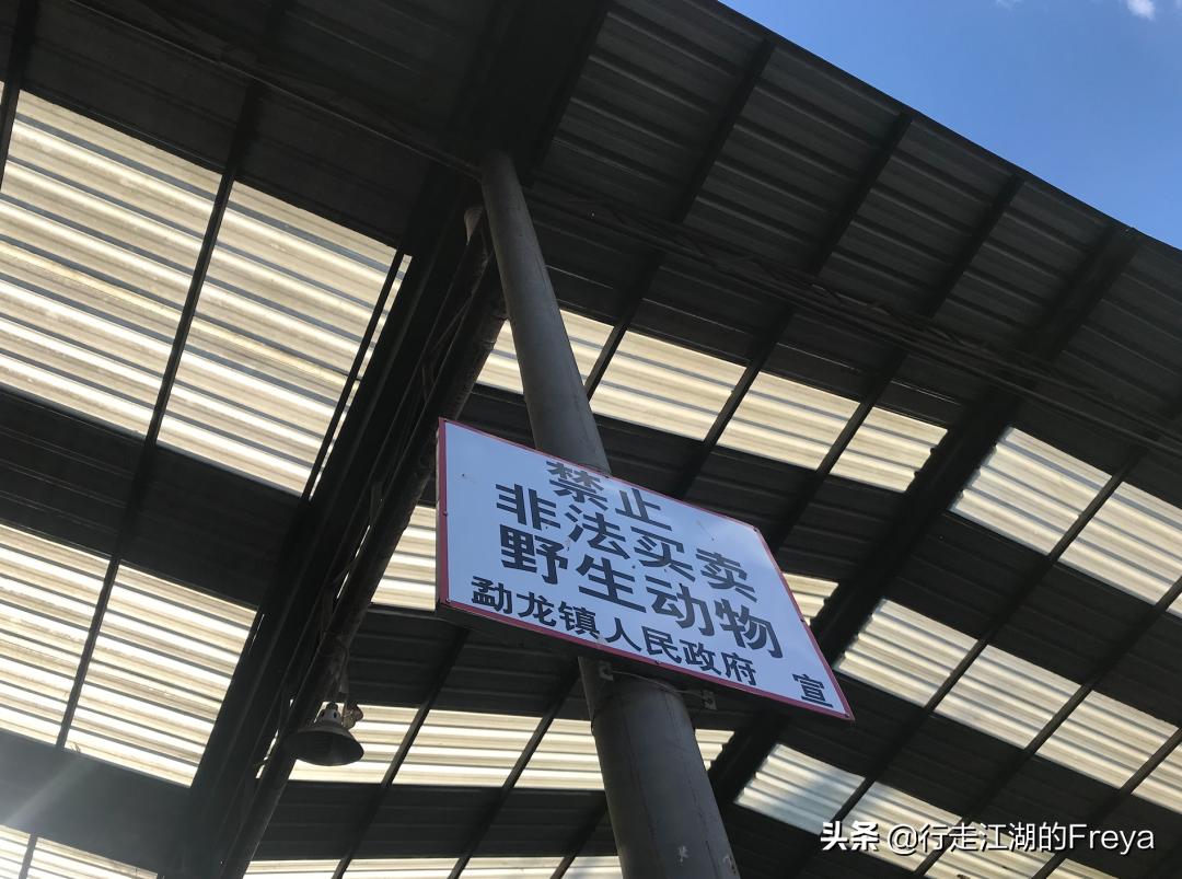 西双版纳傣族村寨赶集,西双版纳星期五赶集