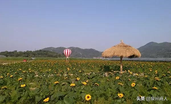 农业农村部推荐景点公示,农业农村部推荐景点