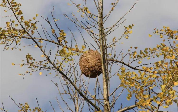 散文拆解资料包,散文朗诵儿歌