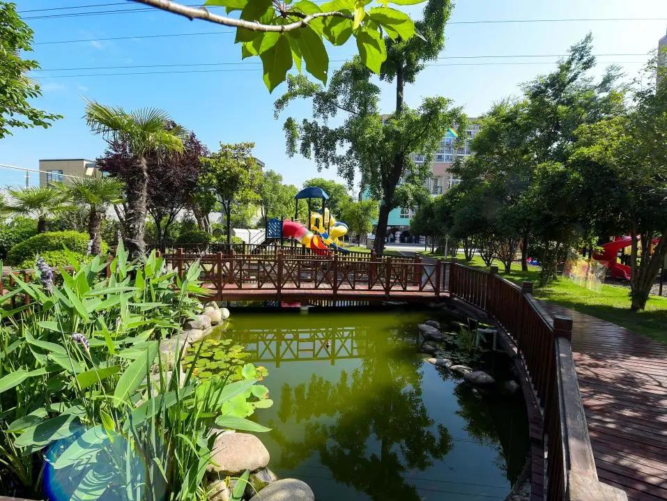 最美的风景美丽的校园,最美的风景就是校园