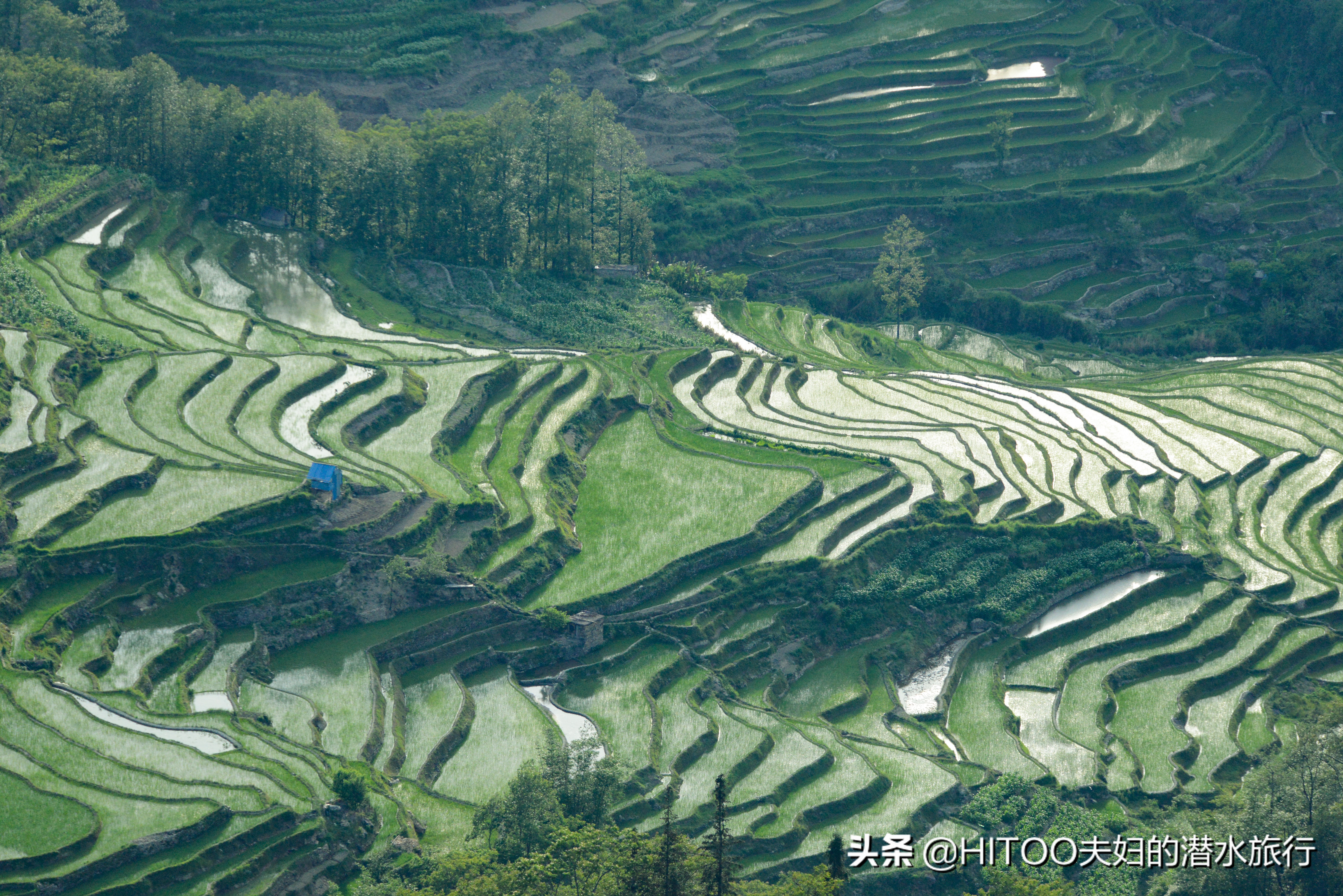 元阳梯田自驾游路线攻略,不花钱看元阳梯田自驾攻略