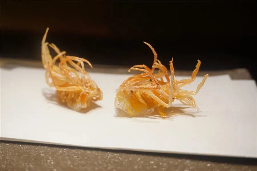 魔都好几家免费餐厅,魔都最难订韩国餐