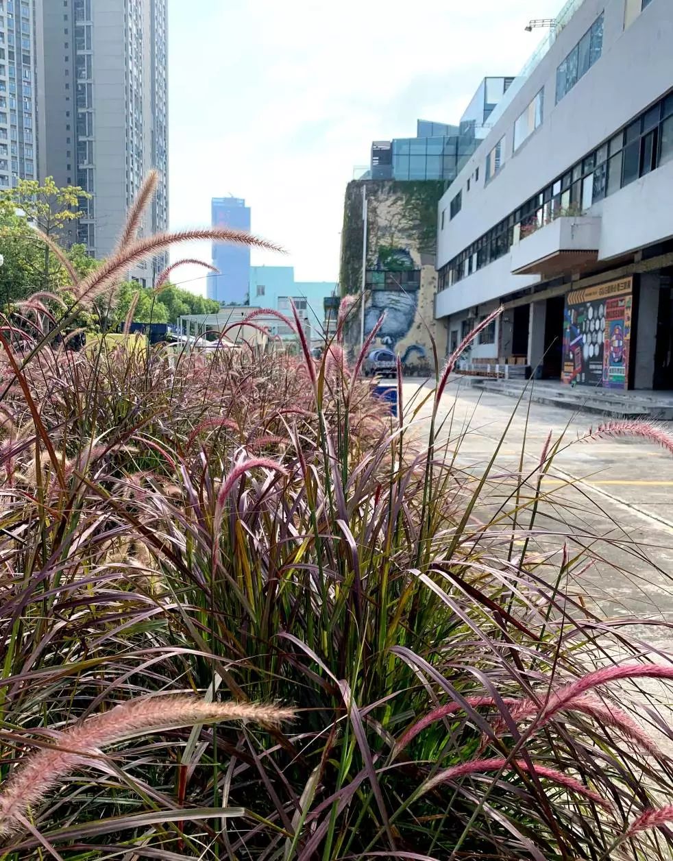 去蛇口玩吗,深圳蛇口值得去吗