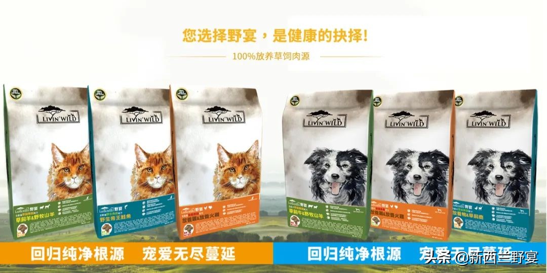 新西兰南半球最高多少米,新西兰的自由与浪漫