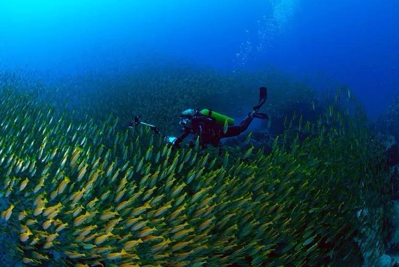 国内最美海岛no1媲美马尔代夫,比马尔代夫更值得去的国内海岛