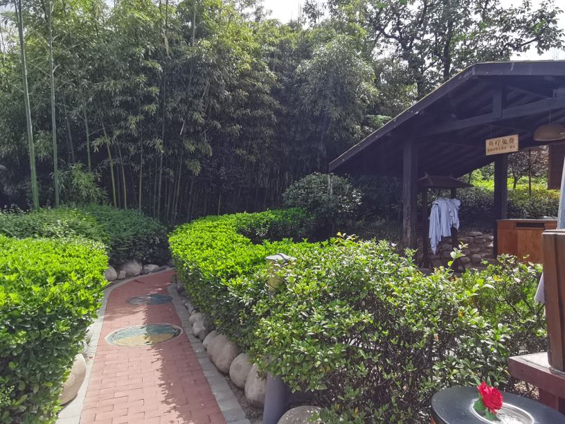 太白山凤凰温泉酒店在哪一块,太白山凤凰温泉酒店b楼