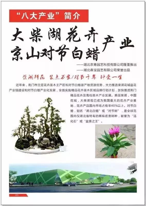 “荆品名门”荣获2019年“中国农业品牌建设学府奖”