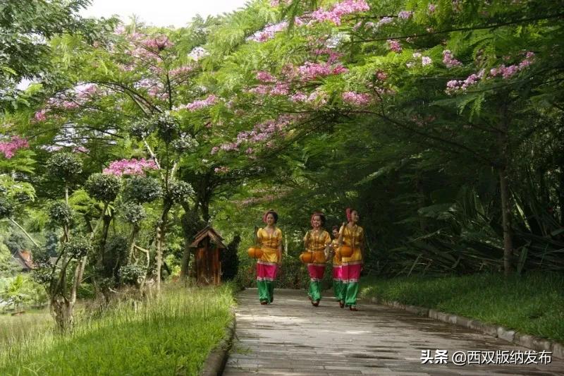 景洪市景区排名,景洪十大景点排名榜
