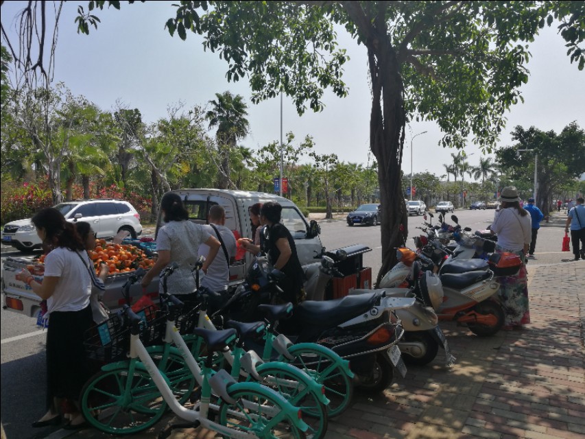 大批候鸟老人到海南三亚养老,海南三亚老人颐养院