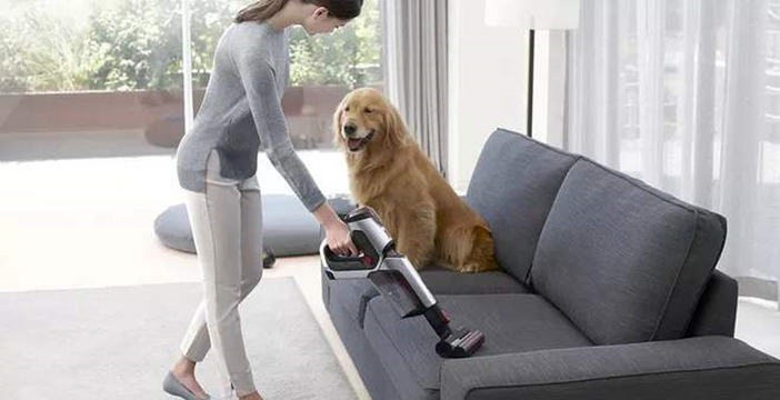 养宠租房,养宠人租房好难