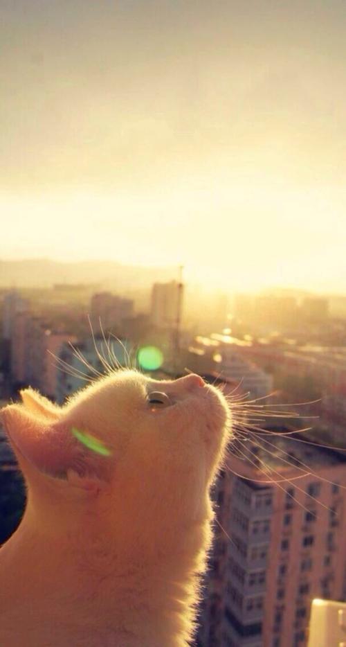 网赌输了五千块后悔怎么办,网赌输了16万怎么戒掉