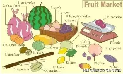 36张图记住所有生活英语单词,33张图记住3500词